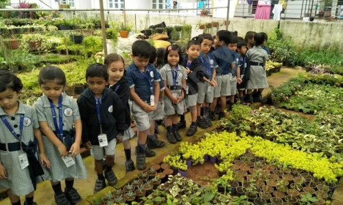 Candour5 Education Academy, Rr Nagar, Bangalore Gardening