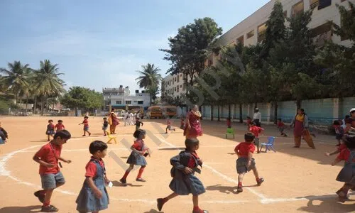 Green Valley English School, Konanakunte, Bangalore School Sports