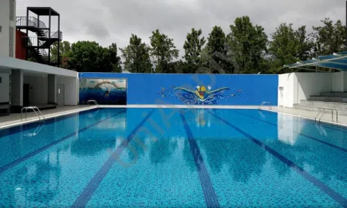Greenwood High School, Bannerghatta, Bangalore Swimming Pool 1