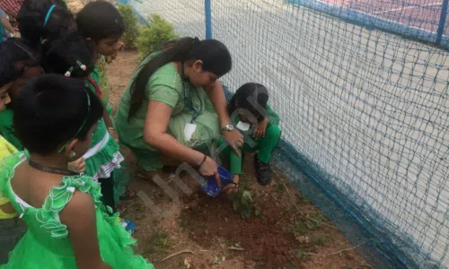 Narayana e-Techno School, Bellandur, Bangalore Gardening