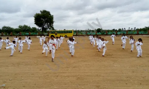 New Oxford school, Sarjapura, Bangalore Karate