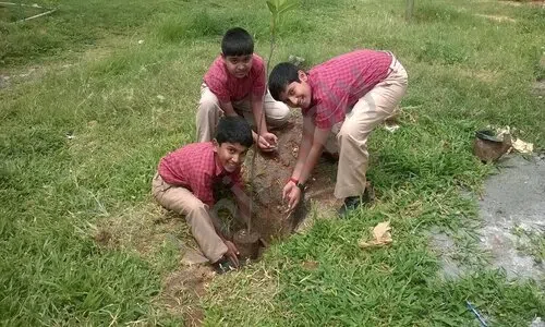 Sri Chaitanya Techno School, Jp Nagar, Bangalore Gardening
