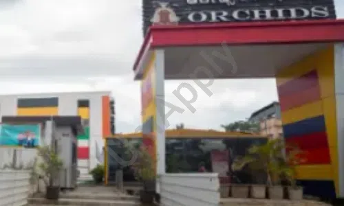 Orchids The International School