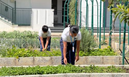 WisdomWood High, Singasandra, Bangalore 1