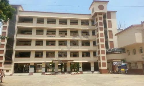 Apostolic Carmel High School And Junior College, Bandra West, Mumbai School Building