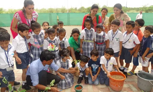 Jamnabai Narsee School, Vile Parle West, Mumbai Gardening