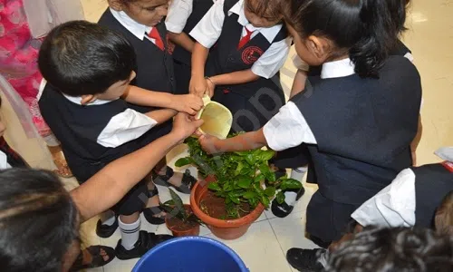 Panbai International School, Sen Nagar, Santacruz East, Mumbai Gardening