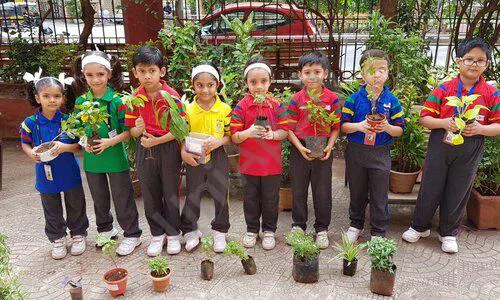Ryan International School, Evershine Nagar, Malad West, Mumbai Gardening