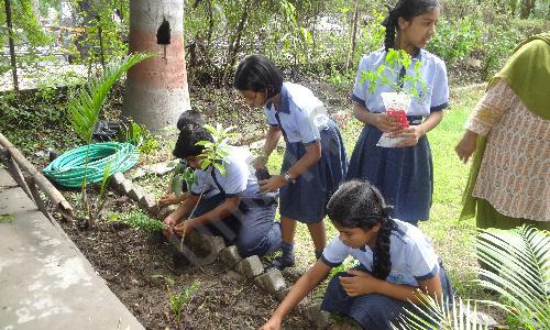 Kurveys New Model Public School, Shradhanand Peth, Nagpur