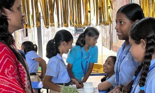 Podar International School, Welahari, Nagpur 3