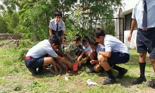 Good Shepherd School, Manmad, Nashik Gardening