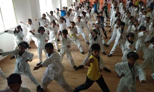 New Wisdom International School, Wadebolai, Pune Karate