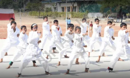 Alard Public School, Hinjawadi, Pune Karate