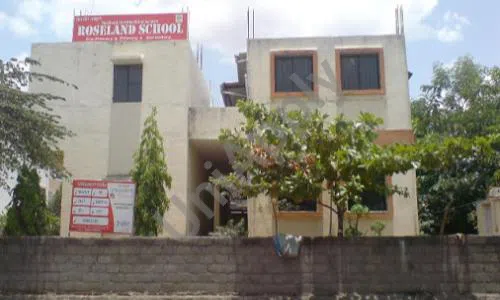Roseland School, Bibvewadi, Pune School Building