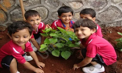 Chate School And Junior College, Kharadi, Pune Gardening