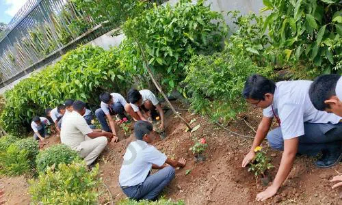 Vidya Pratishthan's Nanded City Public School, Nanded, Pune Gardening