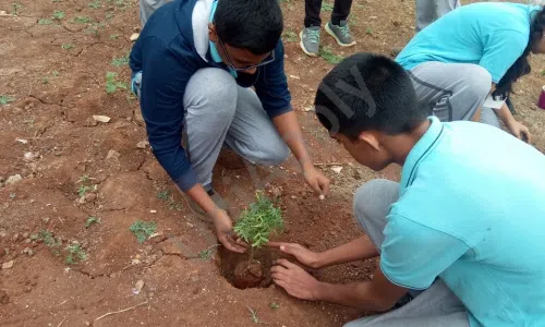 Podar International School, Ambegaon Burdruk, Pune Gardening