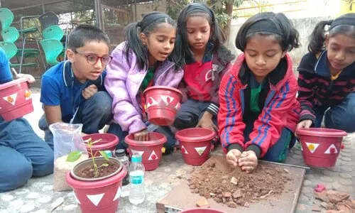 The Matoshree National School, Warje, Pune Gardening