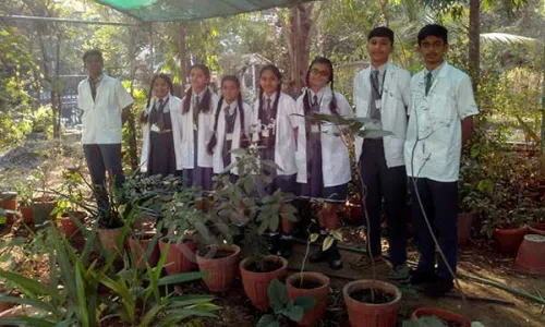 Harmony School And Junior College, Kharghar, Navi Mumbai Gardening