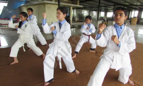 Z.A. Memon English School, Kudus, Thane Karate