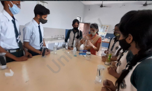 Dolphin Public School, Dadri, Noida 1