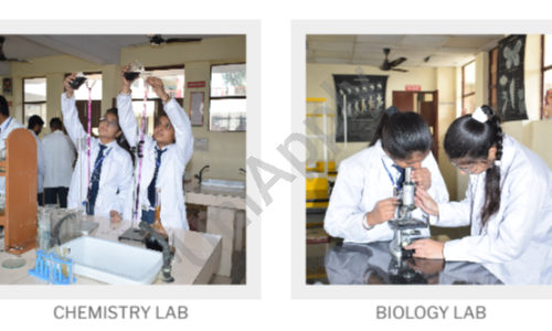 Abhinav Public School, Jewar, Noida 1