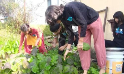 Prakriti, Sector 128, Noida 2