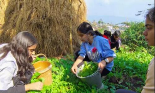 Prakriti, Sector 128, Noida 3