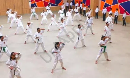 Delhi World Public School, Noida Extension, Greater Noida Karate