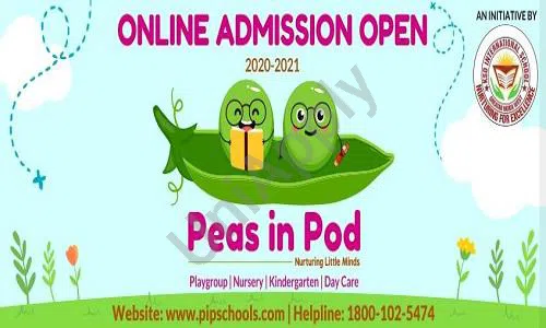 Peas in Pod, Gaur City 1, Greater Noida School Event