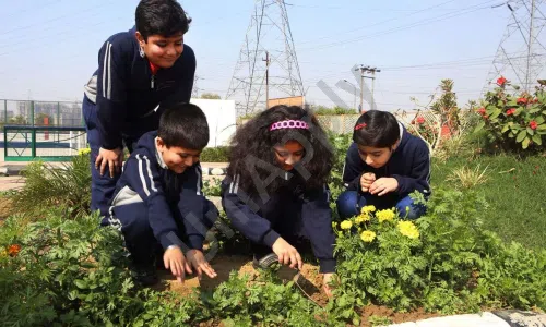 Darbari Lal Foundation World School, Zeta 1, Greater Noida Gardening