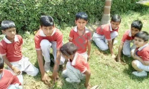 Ch.Lakhpat Singh Memorial Public School, Ladpura, Greater Noida Gardening