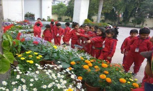 Cambridge School, Sector 27, Noida Gardening