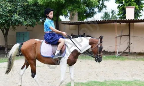 Mayoor School, Sector 126, Noida Horse Riding