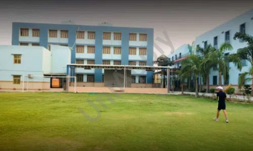 Oxford Green Public School, Sirsa, Greater Noida Playground