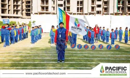 Pacific World School, Techzone 4, Greater Noida Playground
