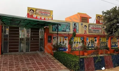 SHEMROCK School, Sector 116, Noida School Building