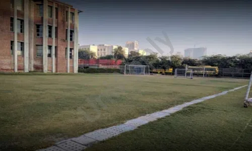 Step By Step School, Sector 132, Noida Playground