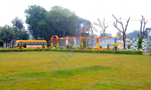 Trinity World School, Sector 2, Greater Noida Playground