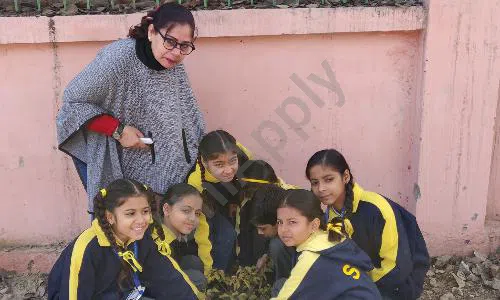 Sophiya Public Junior High School, Rajender Nagar, Sahibabad, Ghaziabad Gardening