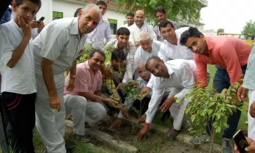 Aryabandhu Public School, Wave City, Ghaziabad Gardening