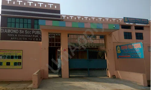 Diamond Public School, Teela Shahbaz Pur, Loni, Ghaziabad School Building