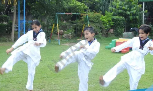 Maharaja Agarsain Public School, Sector 13, Vasundhara, Ghaziabad Karate