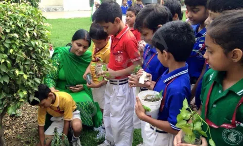 Rockwell Convent School, Sector 2C, Vasundhara, Ghaziabad Gardening