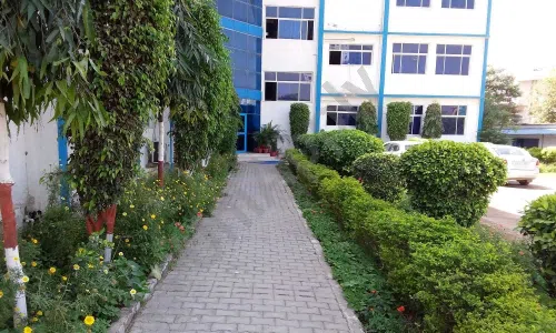 S.G. Public School, Sector 15, Vasundhara, Ghaziabad Gardening