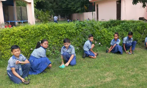 Sanskriti International School, Sector 4A, Vasundhara, Ghaziabad Gardening