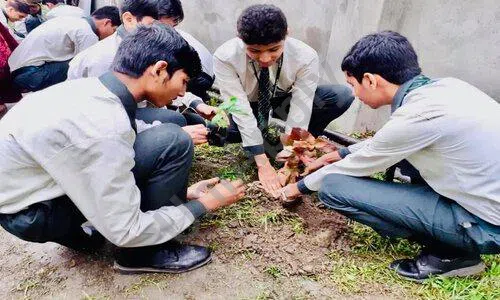 Jibreel International School, Tangra, Kolkata Gardening