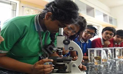 STEM World School, Barrackpore, Kolkata 10
