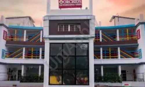 Orchids The International School