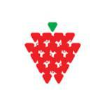 Strawberry Fields High School